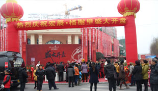 安縣宏辰·楿榭里開(kāi)盤(pán)活動(dòng)